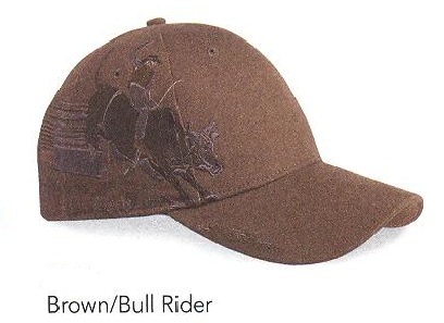 Brown Bull Rider